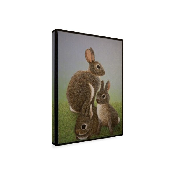 Pat Scott 'Rabbit Family, 2016' Canvas Art,24x32